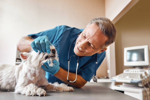 Best Dental Abscess Treatment in Victoria, VA